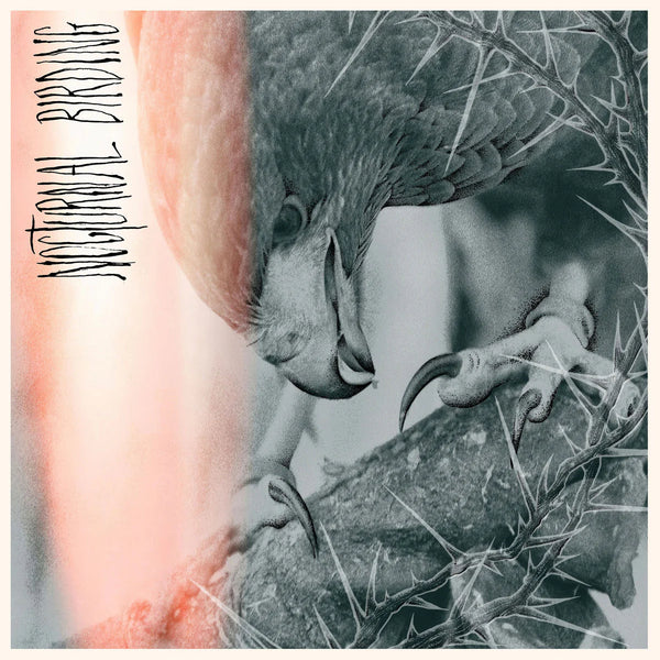 Author & Punisher - Nocturnal Birding (New CD)