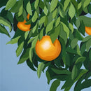 Tyler Ballgame - For The First Time, Again (New Vinyl)