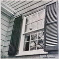 Beach Fossils - What A Pleasure (New Vinyl)