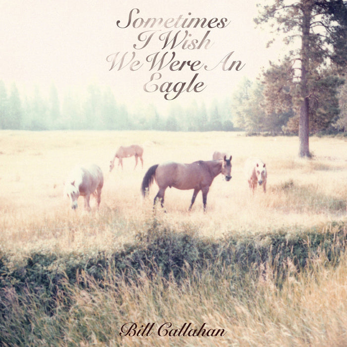 Bill Callahan - Sometimes I Wish We Were An Eagle (New Vinyl)