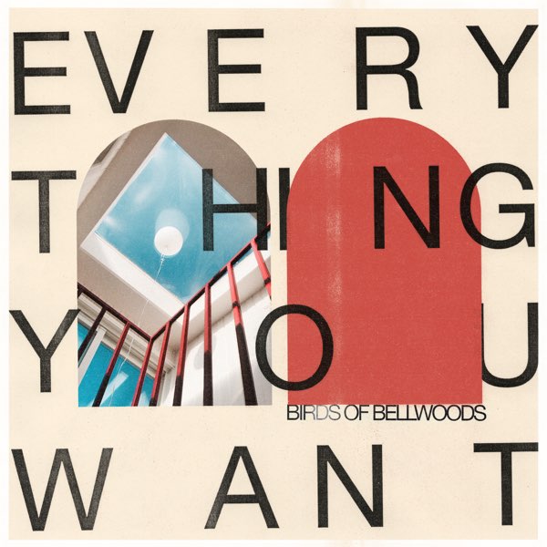 Birds of Bellwoods - Everything You Want (White Vinyl) (New Vinyl)