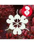 Bjork - Fossora Remixes EP (RSD 2023) (New Vinyl)