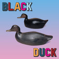 Black Duck - Black Duck (Orange Vinyl) (New Vinyl)