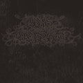 Boris & Merzbow - 04092001 (Silver Vinyl) (New Vinyl)