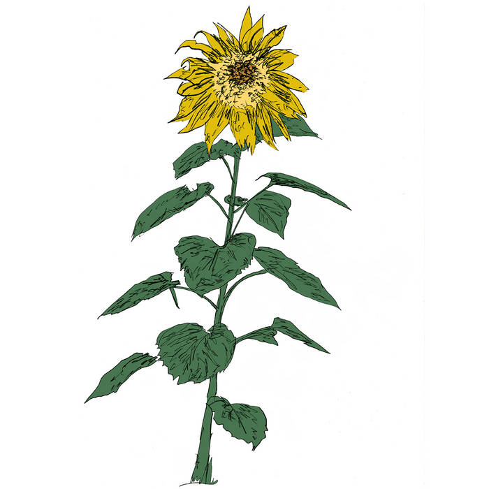 Brian D'Souza - Music To Watch Seeds Grow By 007: Sunflowers (New Cassette)