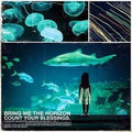 Bring Me The Horizon - Count Your Blessings (2026 Reissue) (New Vinyl)