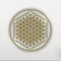 Bring Me the Horizon - Sempiternal (10th Anniversary Picture Disc) (New Vinyl)