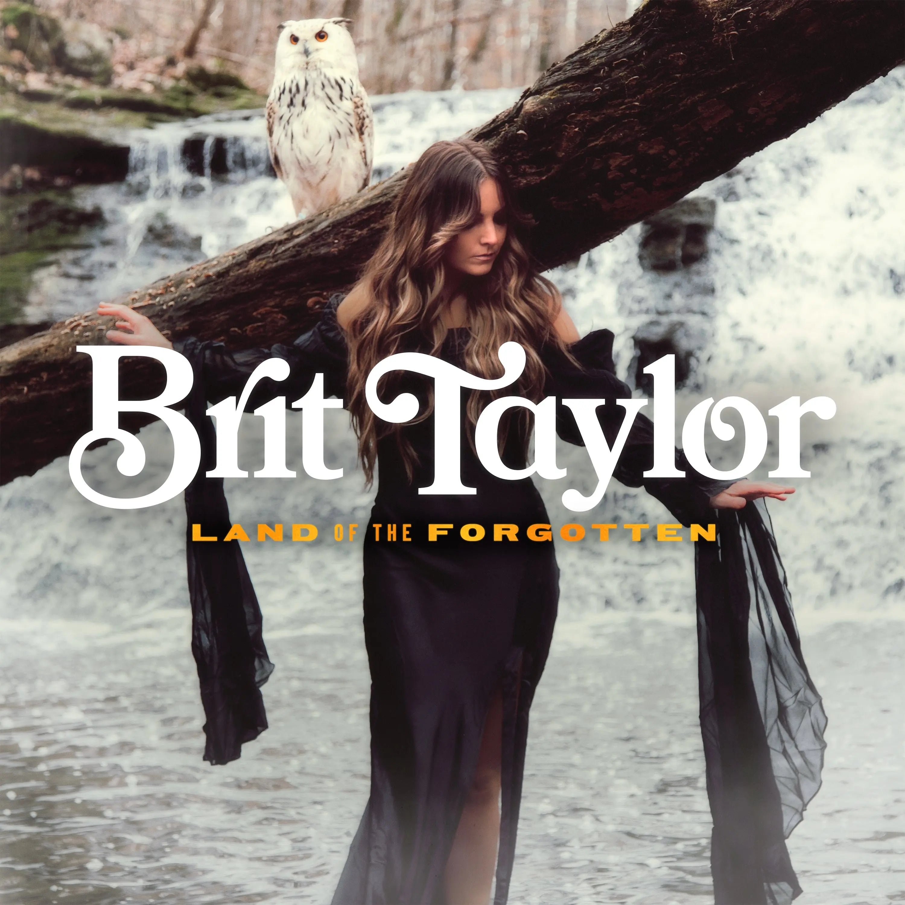 Brit Taylor - Land Of The Forgotten (New CD)