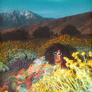 Brittany Howard - What Now? (New CD)