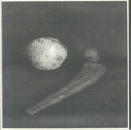 Elijah Minnelli - Ball & Socket (New Vinyl)
