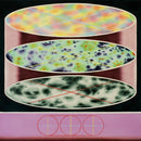 CV Vision - Insolita (New Vinyl)