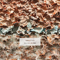 Cable Ties - All Her Plans (Metallic 'Ice Queen' Vinyl) (New Vinyl)