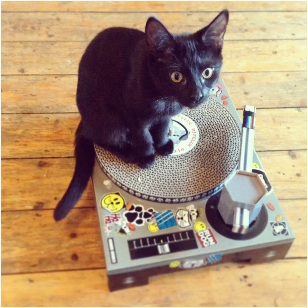 Cardboard Turntable Cat Scratch Pad