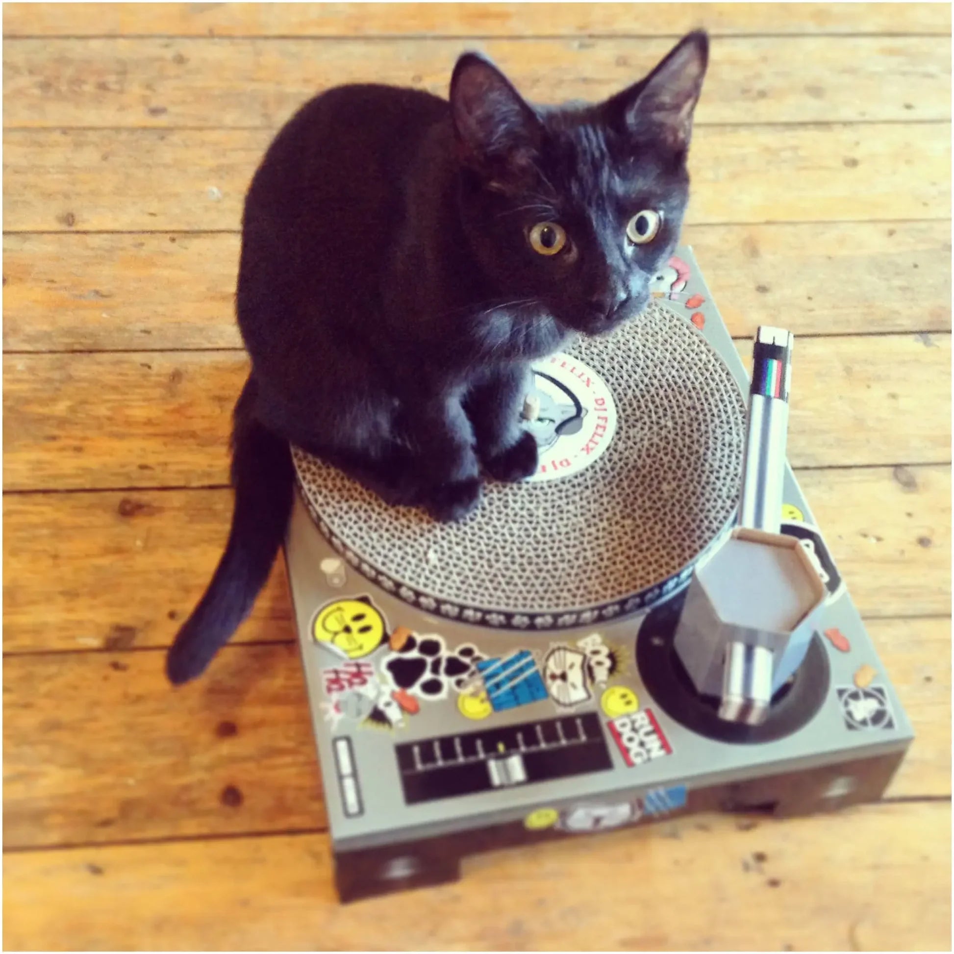 Cardboard Turntable Cat Scratch Pad