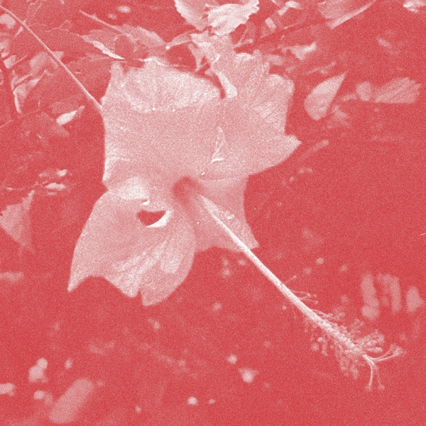 Celer - Poulaine (New CD)