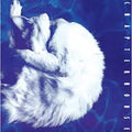 Chapterhouse - Whirlpool (White & Black Marbled Vinyl) (New Vinyl)