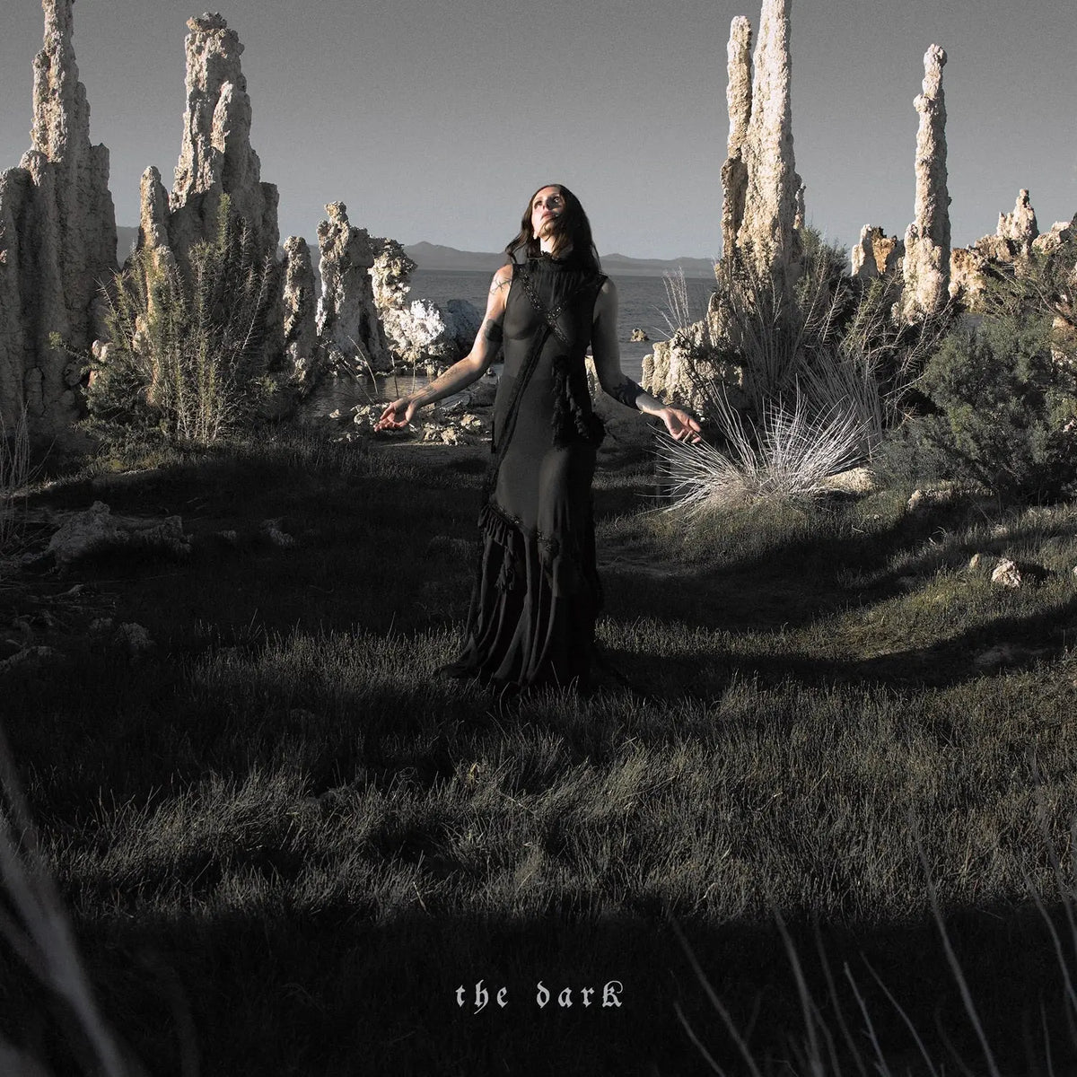 Chelsea Wolfe - The Dark (Indie Exclusive Forest Green Vinyl) (Signed Insert) (New Vinyl)
