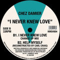 Chez Damier - I Never Knew Love (12") (New Vinyl)