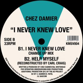 Chez Damier - I Never Knew Love (12") (New Vinyl)