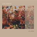 Chihei Hatakeyama - Late Spring (New CD)