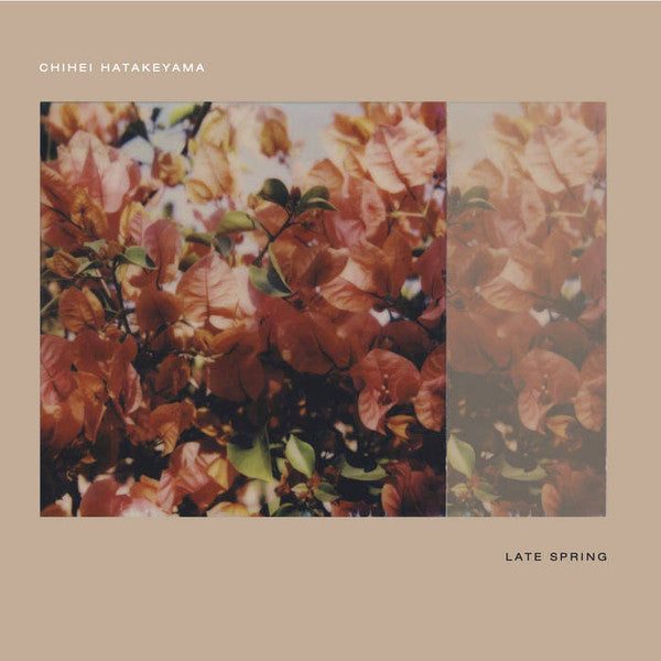 Chihei Hatakeyama - Late Spring (New CD)