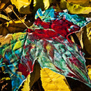 Chon - Grow (Yellow & Baby Pink Vinyl) (New Vinyl)