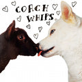 Coachwhips - Bangers VS. Fuckers (New Vinyl)