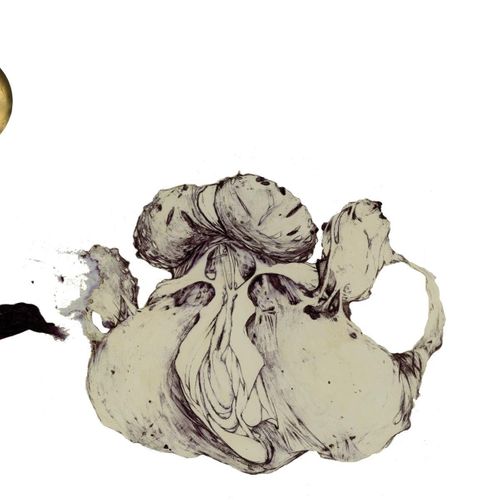 Coil-ace-of-naples-new-vinyl