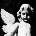 Cold Cave - Passion Depression (New Vinyl)