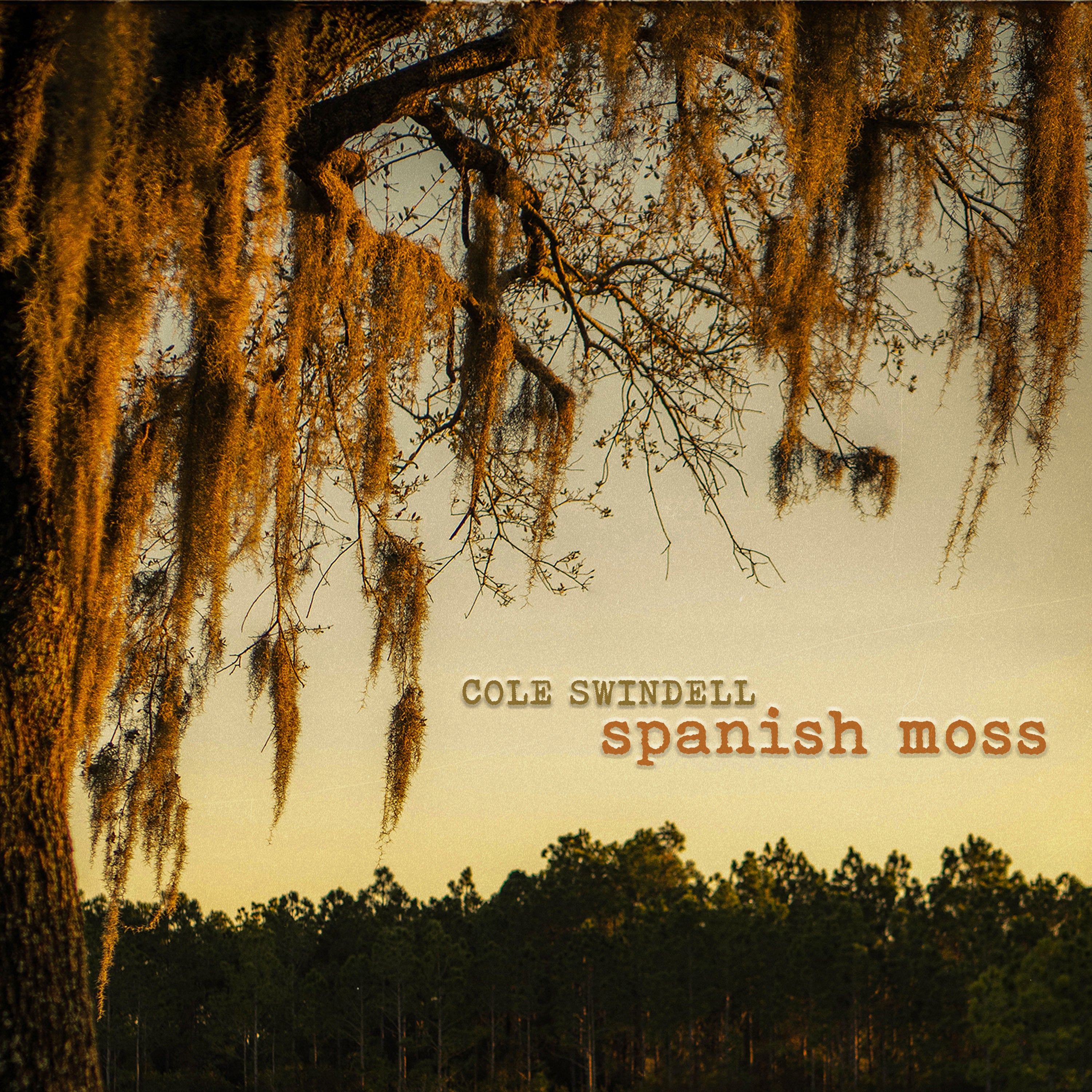 Cole Swindel - Spanish Moss (New CD)