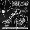 Convulse - From Resuscitation To Reincarnation: The Early Years (White With Splatter Vimyl) (New Vinyl)