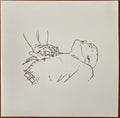 Copeland - Beneath The Medicine Tree (New Vinyl)
