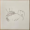 Copeland - Beneath The Medicine Tree (New Vinyl)