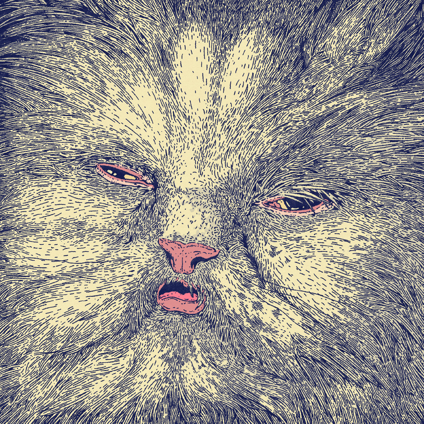 Corridor - Mimi (Transluscent & Pink Splater Vinyl) (New Vinyl)