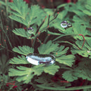 Cousin - HomeSoon (New Vinyl)