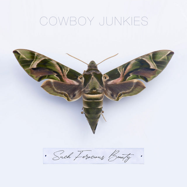 Cowboy Junkies - Such Ferocious Beauty (New CD)