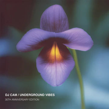 DJ Cam - Underground Vibes (30th Anniversary) (New Vinyl)