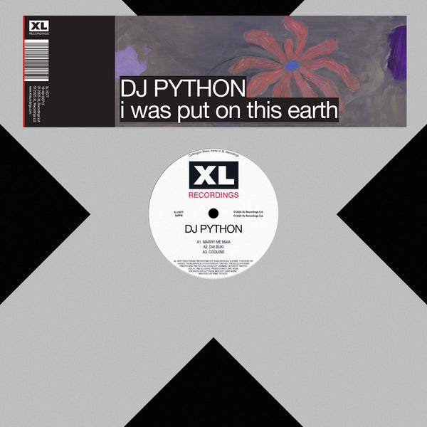 DJ Python - I Was Put On This Earth (12") (New Vinyl)