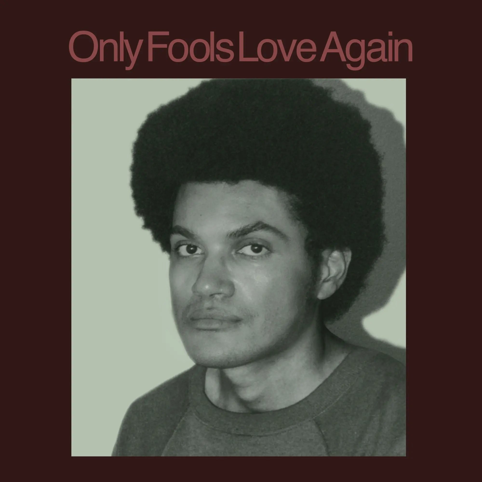 Danny Ayala - Only Fools Love Again (New Vinyl)