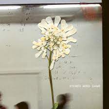 Daughter - Stereo Mind Game (New CD)