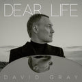 David Gray - Dear Life (2LP) (New Vinyl)