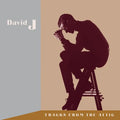 David J - Tracks From the Attic (New Vinyl)