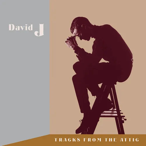 David J - Tracks From the Attic (New CD)