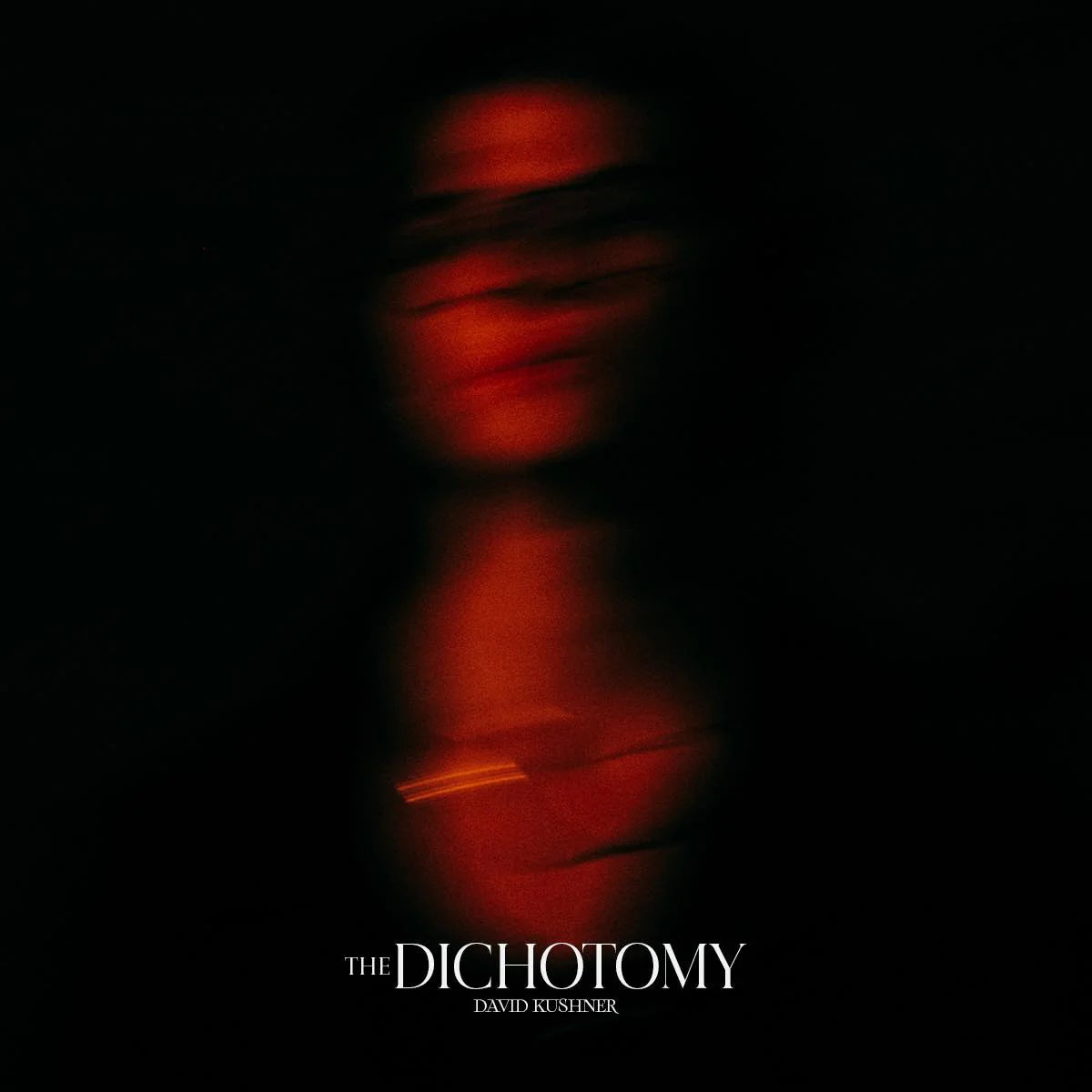 David Kushner - The Dichotomy (New Vinyl)