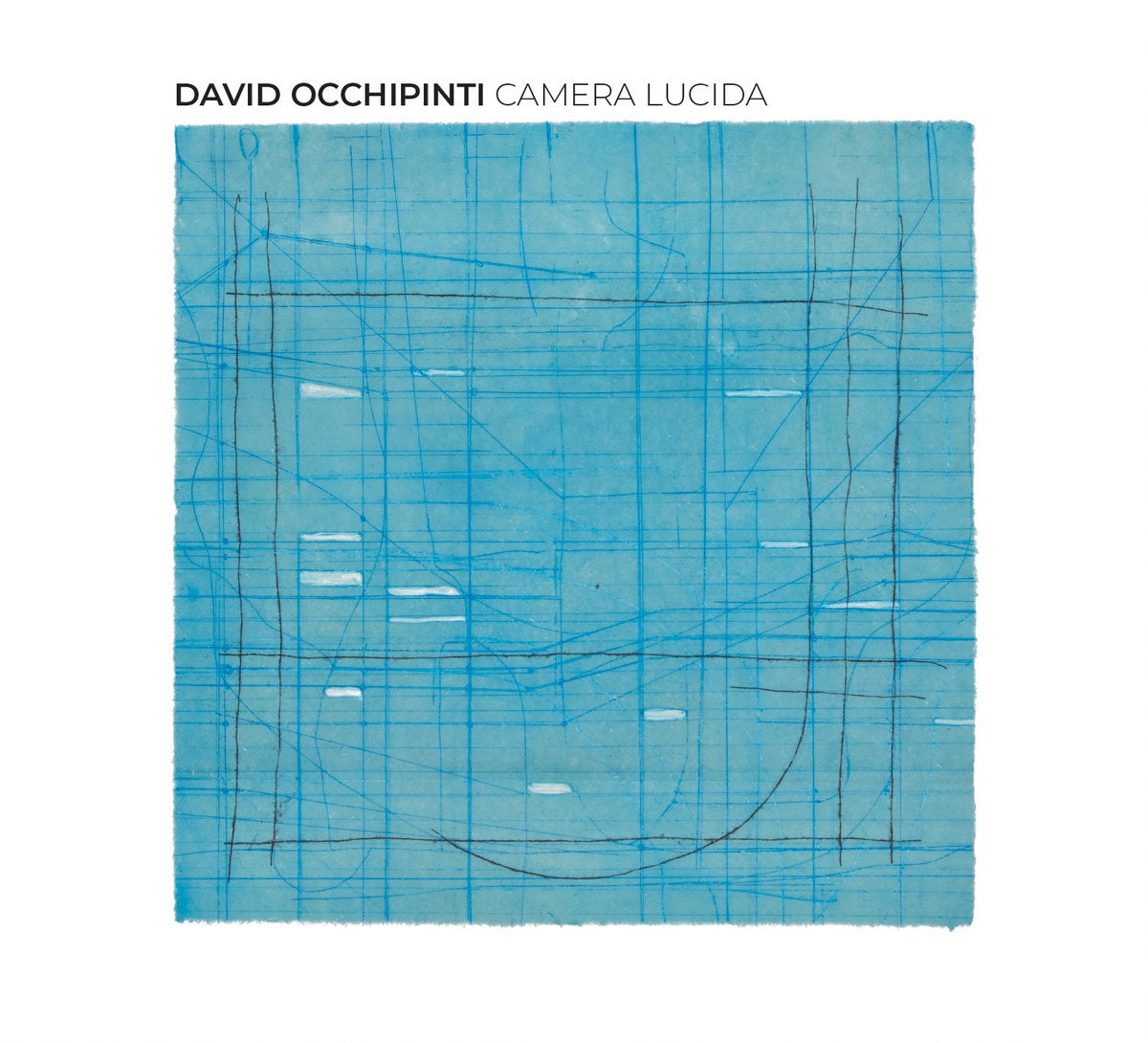 David Occhipinti - Camera Lucida (New Vinyl)