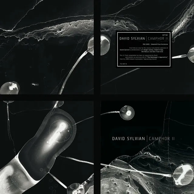 David Sylvian - Camphor II (2LP) (RSD 2025) (New Vinyl)