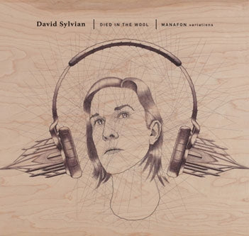 David Sylvian - Died In The Wool (2LP) (New Vinyl)