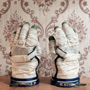 David Sylvian & Stephan Mathieu - Wandermude (Deluxe Edition/180g/Clear) (New Vinyl)