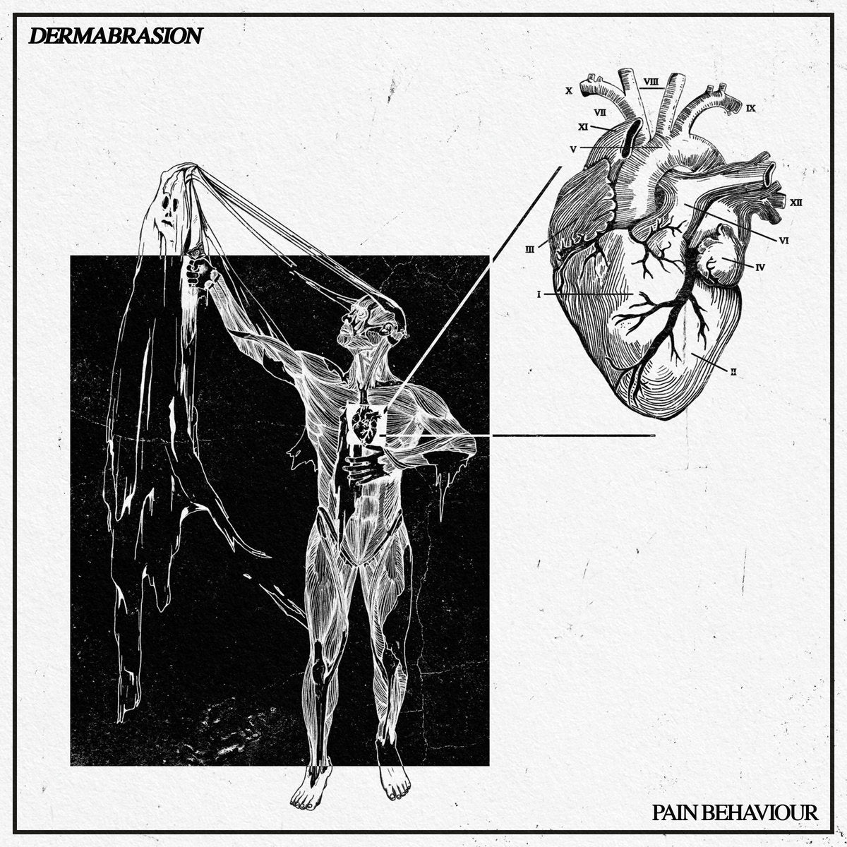Dermabrasion - Pain Behaviour (New CD)