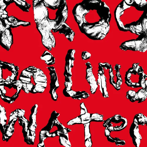 Diiv - Frog In Boiling Water (New Vinyl)